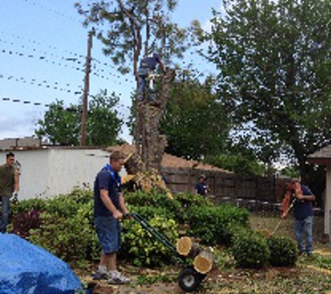 Aaron's Tree Service - Mesquite, TX