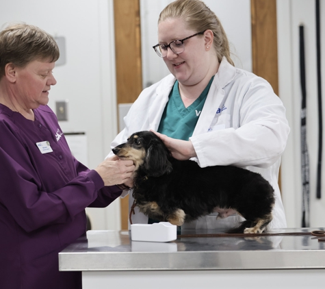 VCA Marshalltown Animal Hospital - Marshalltown, IA