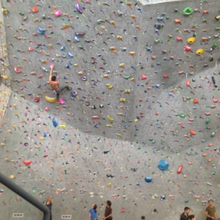 Movement Climbing & Fitness - Boulder, CO