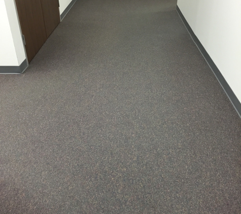 Alpha Cleaning Services - The Woodlands, TX. Carpet Care