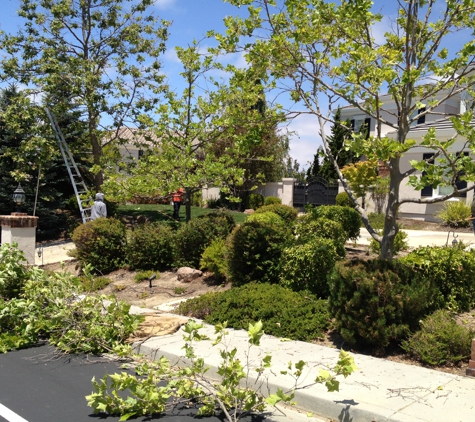 Paul Bauman's Tree Service - Los Gatos, CA