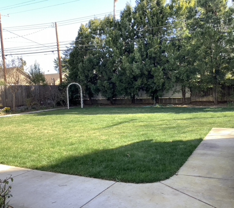 Lodi Hill House - Lodi, CA. Large Pet Friendly Back Yard