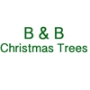 B & B Christmas Trees gallery