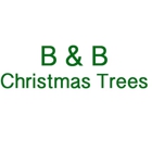 B & B Christmas Trees