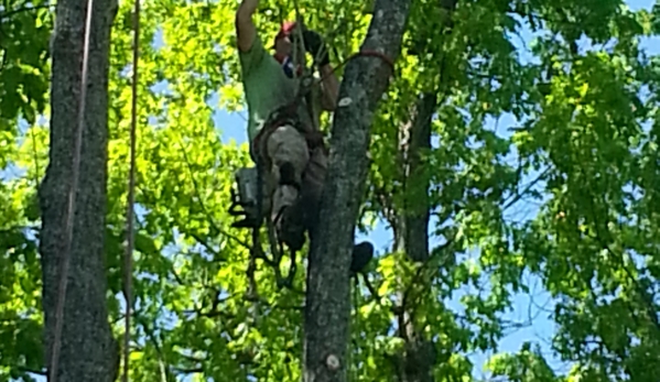 Ace's Tree Service Inc. - Fredericksburg, VA