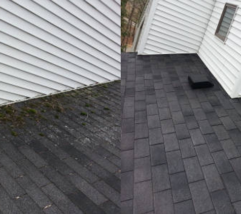 Pro Roof Cleaning