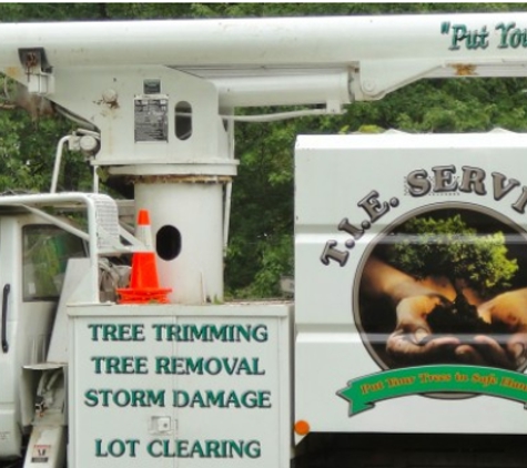 TIE Tree Service - Greenwood, IN
