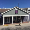 Josie's gallery