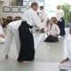 Aikido & Tai Chi At Open Sky