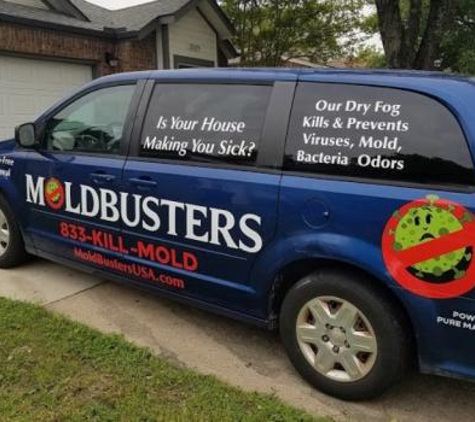 Mold Busters Denton - Denton, TX