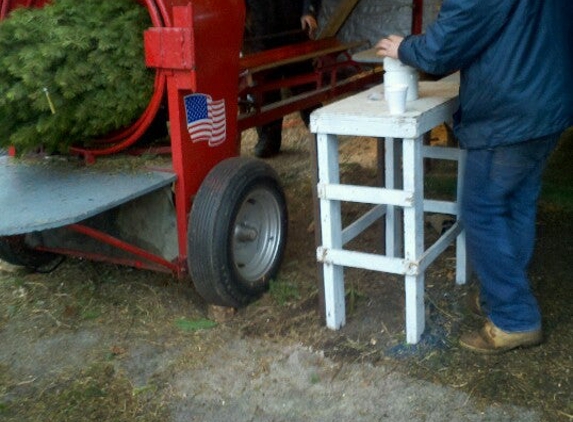 Pete's Tree Farm - Rochester, NY