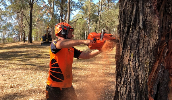 Brady Tree Service Pty Ltd - Kurrajong Heights, NSW