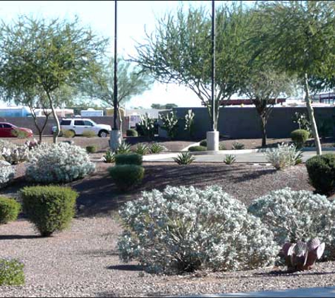 HMI Commercial Landscape - Phoenix, AZ