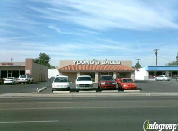 Arizona Automotive Paint & Supply - Phoenix, AZ