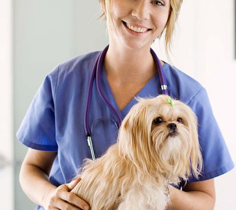 South Dixie Animal Hospital - West Palm Beach, FL