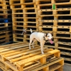 C & C Pallet Remanufacturing - Buy Recycle Sell gallery