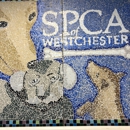 SPCA of Westchester County - Animal Shelters