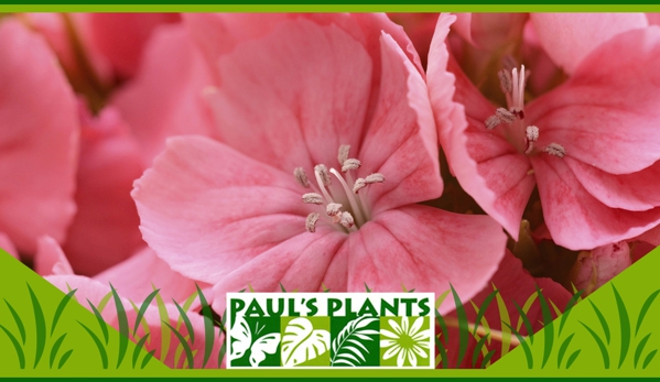 Paul's Plants - Carrara, QLD. Free Advice For All Your Gardening Needs
