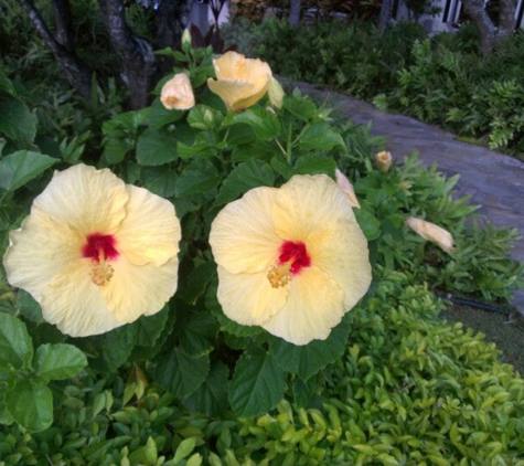 Naupaka Terrace Restaurant - Lihue, HI