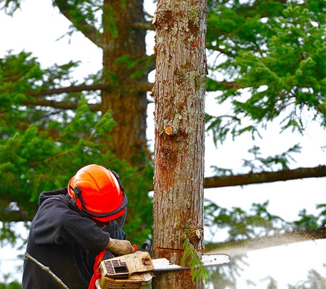 Mall's Tree Service - Batavia, IL