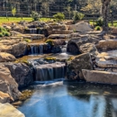 Black Koi Water Features and Ponds - Ponds, Lakes & Water Gardens Construction