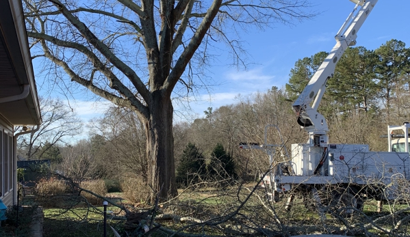 Porterfield Stump & Tree - Watkinsville, GA