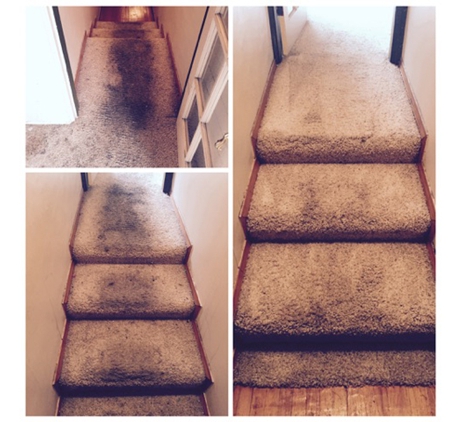 Chem Dry Carpet Tech - Northridge, CA