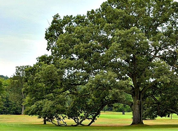 Luke's Tree Service - Sherwood, AR