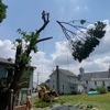 Long's Tree Service gallery