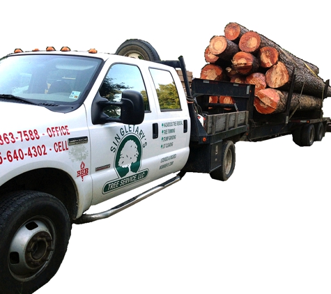 Singletary Tree Service. Singletary's Tree Service