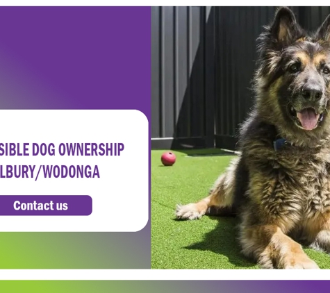 PetFocus Vetcare - Lavington, NSW. Responsible Dog Ownership In Albury/Wodonga