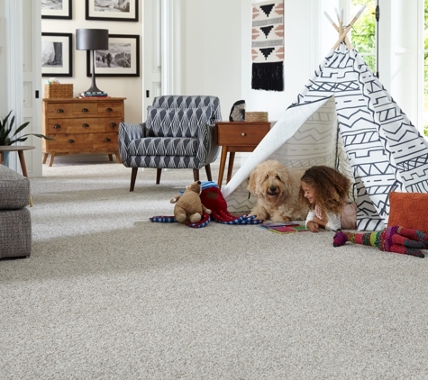 Denver Carpet & Hardwood - Denver, CO