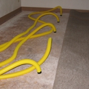 Action Carpet Cleaning - Upholstery Cleaners