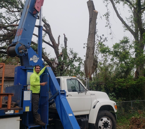 Floridas Tree Masters - Port Orange, FL