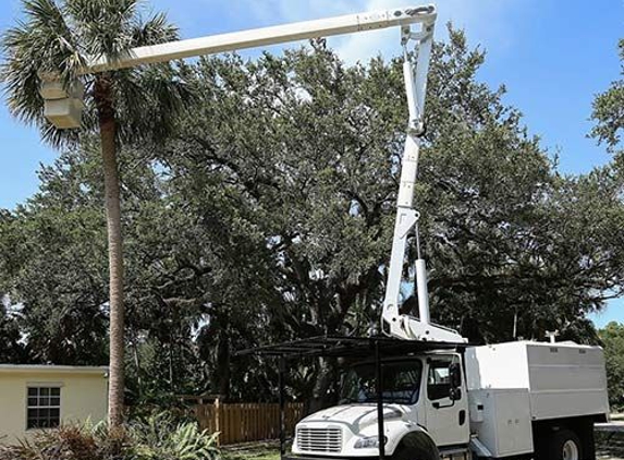 American Tree Care LLC - Palm Coast, FL