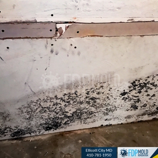 FDP Mold Remediation of Ellicott City - Ellicott City, MD