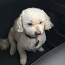 Dog House - Pet Grooming