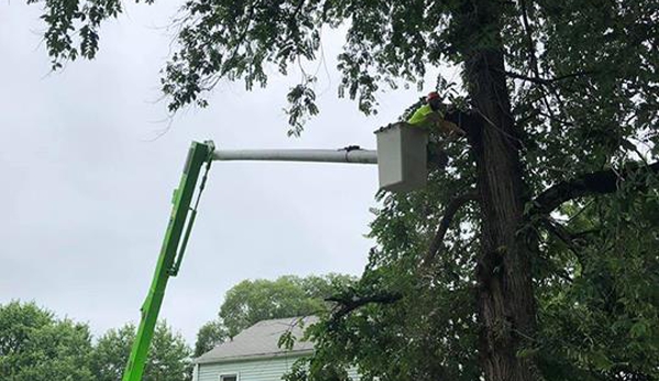 J & K Tree Services - Ackworth, IA