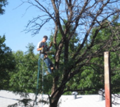 Pastwas Tree Service LLC - Amarillo, TX
