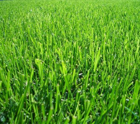 Leopard's Lawn and Landscape - West Lafayette, IN