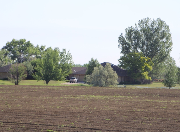 High Grade Hemp Seed - Longmont, CO