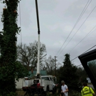 All tree pro removal and pruning L.L.C