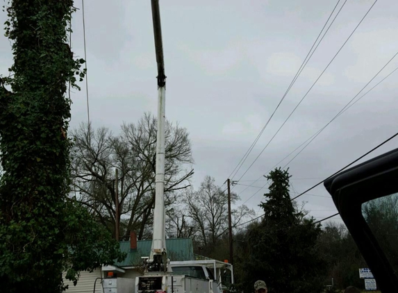 All tree pro removal and pruning L.L.C - Beech Island, SC