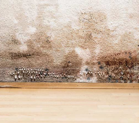 Central Coast Building Inspections - Gosford, NSW. Building Inspections Central coast