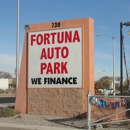 Fortuna Auto Park - Used Car Dealers