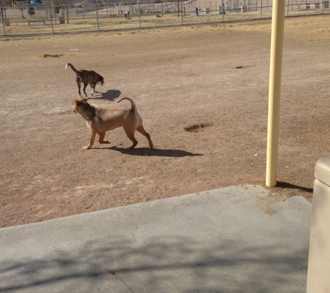 Barkin' Basin Dog Park - Las Vegas, NV