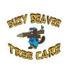 Busy Beaver Tree Care gallery