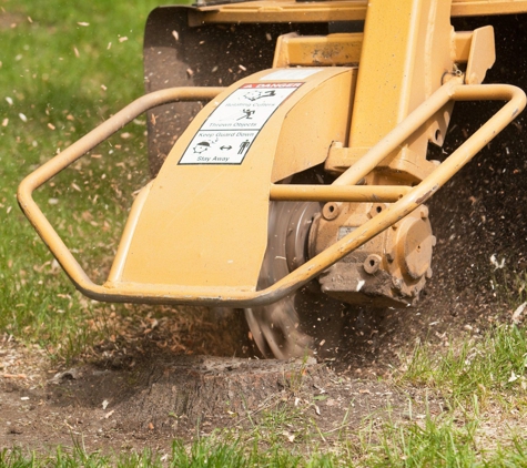 Treeworx Tree Service - Darlington, PA