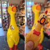 BrainyZoo Toys gallery