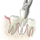 Harmony Dental - Dentists